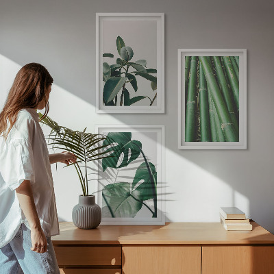 Set of 3 framed wall art pieces Bamboo stems and monstera leaves