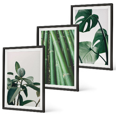Set of 3 framed wall art pieces Bamboo stems and monstera leaves