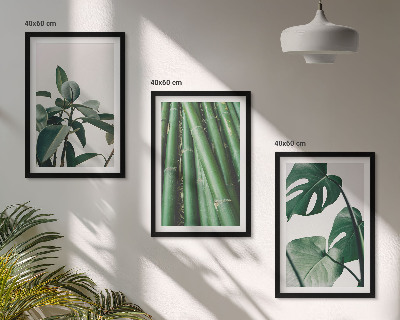 Set of 3 framed wall art pieces Bamboo stems and monstera leaves