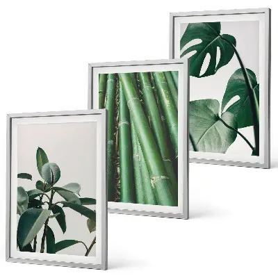 Bamboo stems and monstera leaves wall art set of 3 framed pieces
