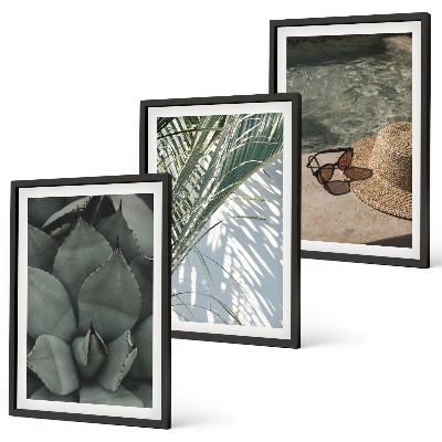 Wall art set Tropical plants for vacation