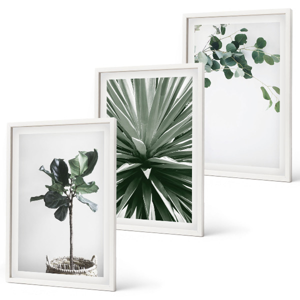 Set of 3 framed wall art pieces Green plants minimalism