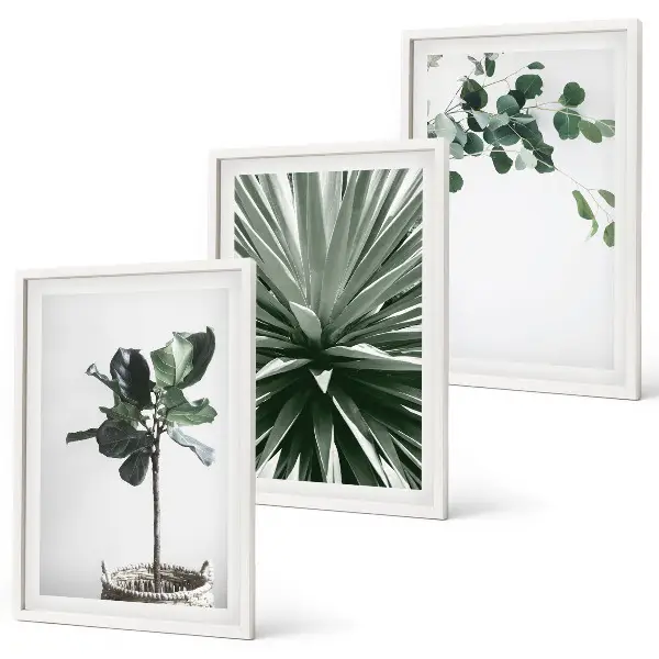 Green Plants Minimalism Wall Art set of 3 framed pieces
