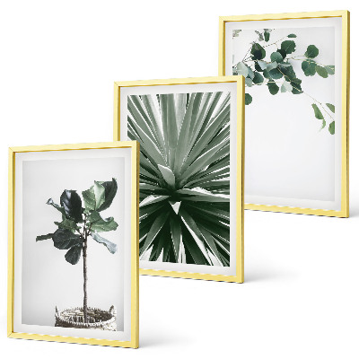 Set of 3 framed wall art pieces Green plants minimalism