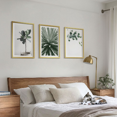 Set of 3 framed wall art pieces Green plants minimalism