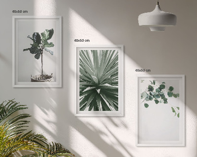 Set of 3 framed wall art pieces Green plants minimalism