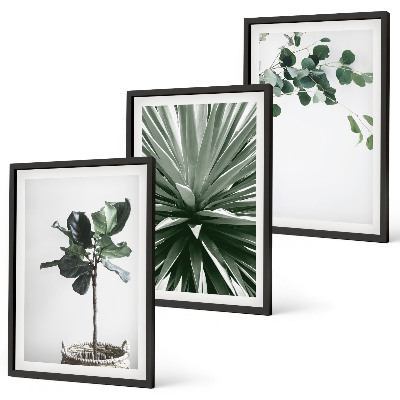 Set of 3 framed wall art pieces Green plants minimalism