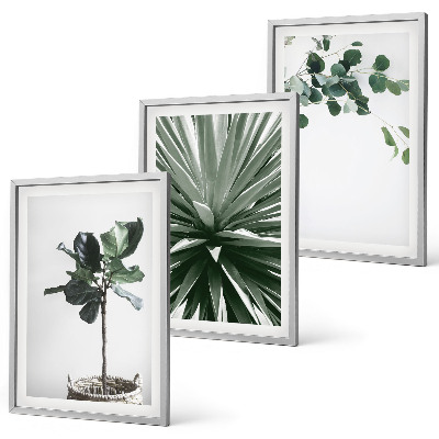 Set of 3 framed wall art pieces Green plants minimalism