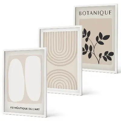 Boho delicate plant wall art prints set of 3 framed pieces