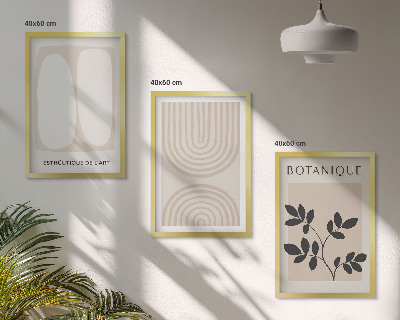 Set of 3 framed wall art pieces Boho delicate plant posters