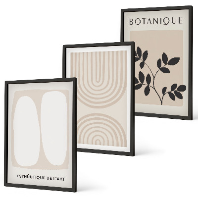 Set of 3 framed wall art pieces Boho delicate plant posters