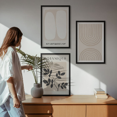 Set of 3 framed wall art pieces Boho delicate plant posters