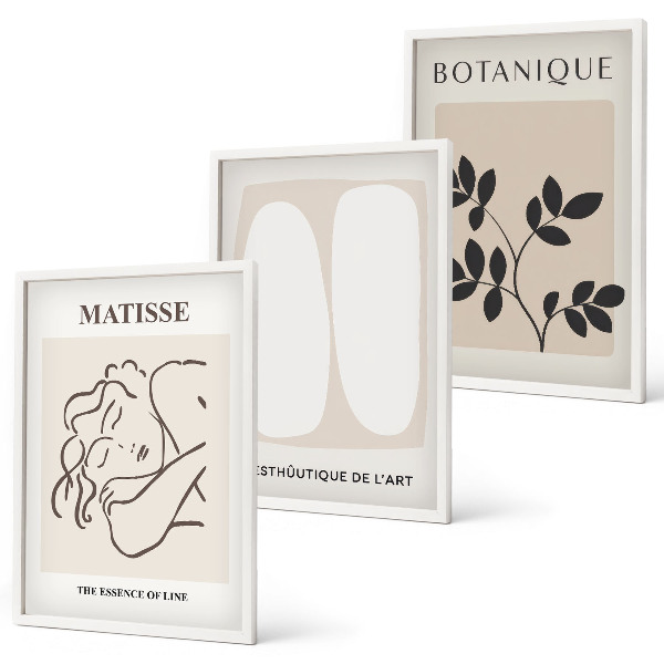 Three-piece wall art piece Matisse's Stylish Plant Paintings