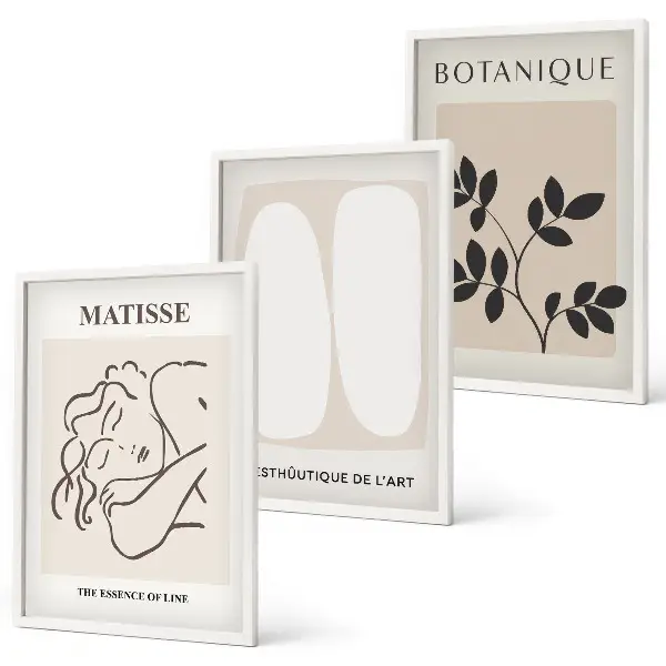 Matisse plant wall art three-piece set