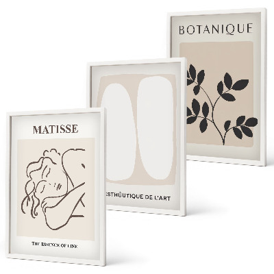Three-piece wall art piece Matisse's Stylish Plant Paintings