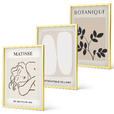Three-piece wall art piece Matisse's Stylish Plant Paintings
