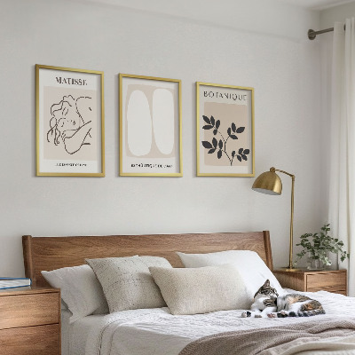 Three-piece wall art piece Matisse's Stylish Plant Paintings