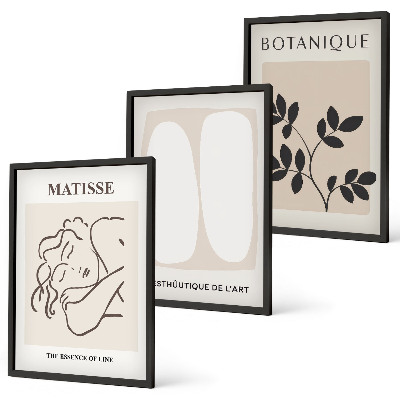 Three-piece wall art piece Matisse's Stylish Plant Paintings