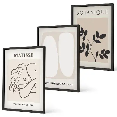 Matisse plant wall art three-piece set