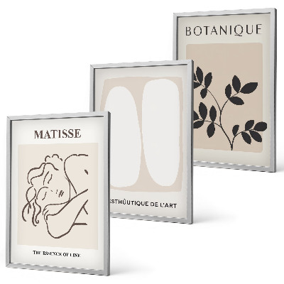 Three-piece wall art piece Matisse's Stylish Plant Paintings