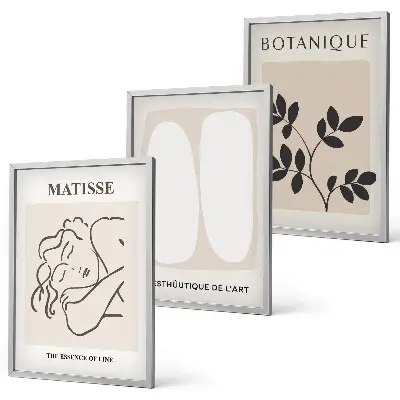 Matisse plant wall art three-piece set