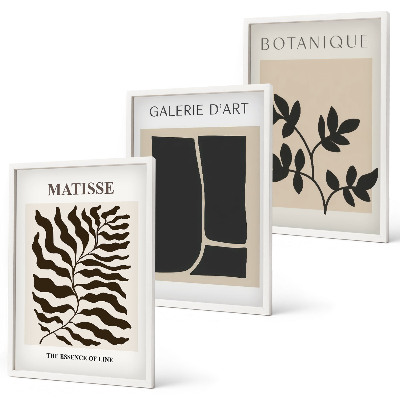 Set of 3 framed wall art pieces Minimalist plant posters