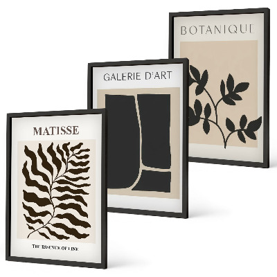 Set of 3 framed wall art pieces Minimalist plant posters