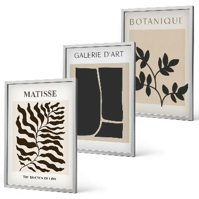 Set of 3 framed wall art pieces Minimalist plant posters