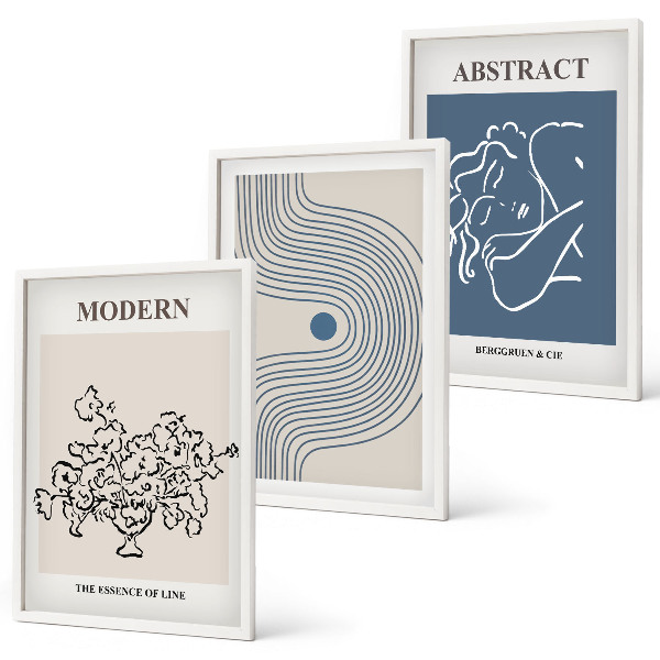 Set of 3 framed wall art pieces Flowers lines abstract posters