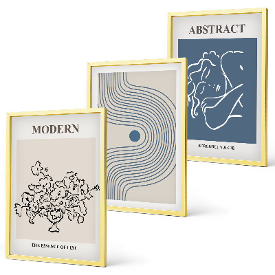 Set of 3 framed wall art pieces Flowers lines abstract posters