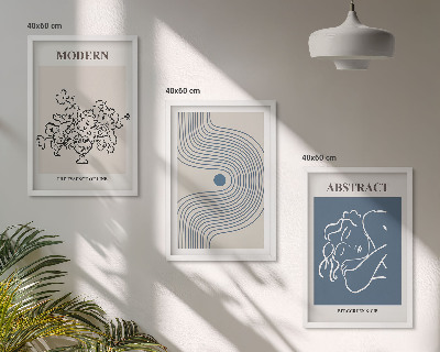 Set of 3 framed wall art pieces Flowers lines abstract posters