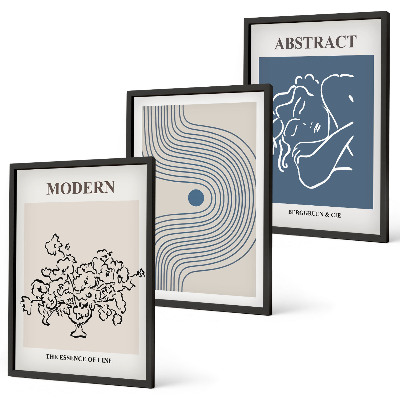 Set of 3 framed wall art pieces Flowers lines abstract posters