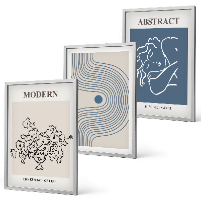 Set of 3 framed wall art pieces Flowers lines abstract posters