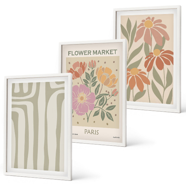 Set of 3 framed wall art pieces Botanical motifs Paris minimalism