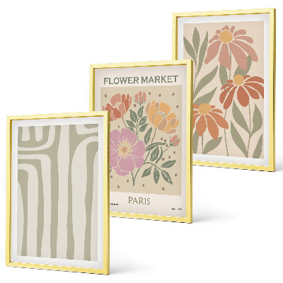 Set of 3 framed wall art pieces Botanical motifs Paris minimalism