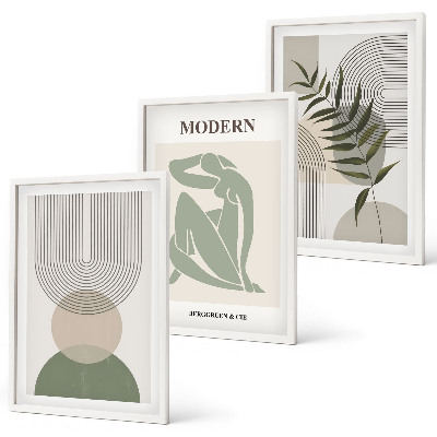 Set of 3 framed wall art pieces Stylish plant graphics
