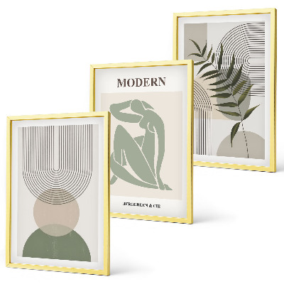 Set of 3 framed wall art pieces Stylish plant graphics