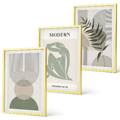 Set of 3 framed wall art pieces with stylish plant graphics