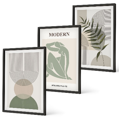 Set of 3 framed wall art pieces Stylish plant graphics