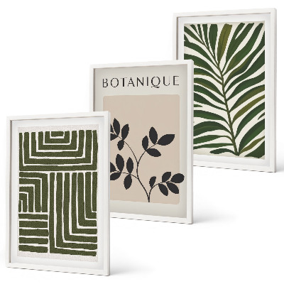 Set of 3 framed wall art pieces Botanical boho minimalism