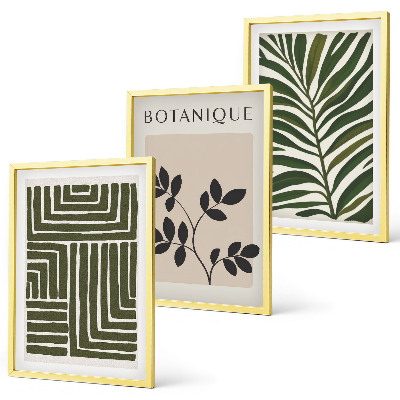 Set of 3 framed wall art pieces Botanical boho minimalism