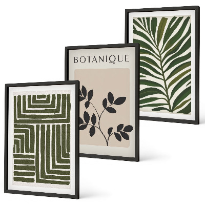 Set of 3 framed wall art pieces Botanical boho minimalism