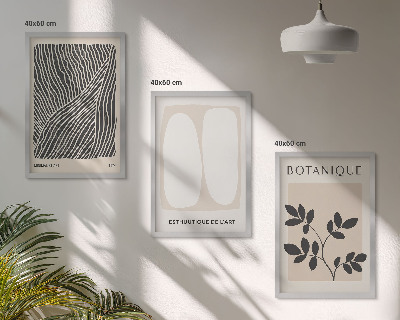 Set of 3 framed wall art pieces Plant patterns and lines