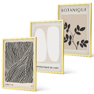 Set of 3 framed wall art pieces Plant patterns and lines