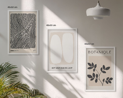 Set of 3 framed wall art pieces Plant patterns and lines