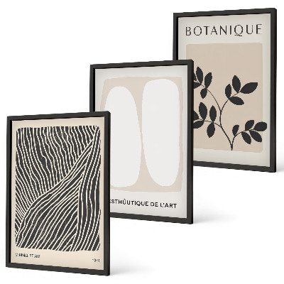 Set of 3 framed wall art pieces Plant patterns and lines