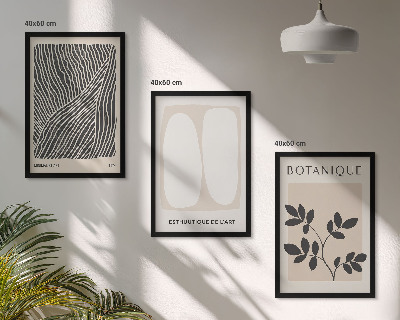 Set of 3 framed wall art pieces Plant patterns and lines