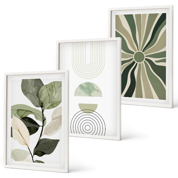 Set of 3 framed wall art pieces Plant motifs, geometry, greenery