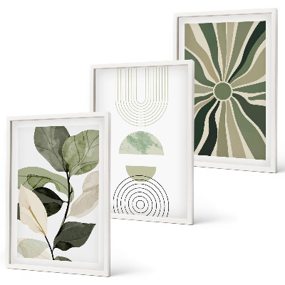 Set of 3 framed wall art pieces Plant motifs, geometry, greenery