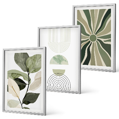 Set of 3 framed wall art pieces Plant motifs, geometry, greenery